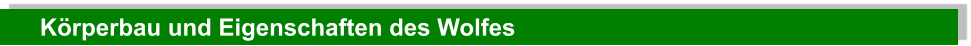 Körperbau und Eigenschaften des Wolfes
