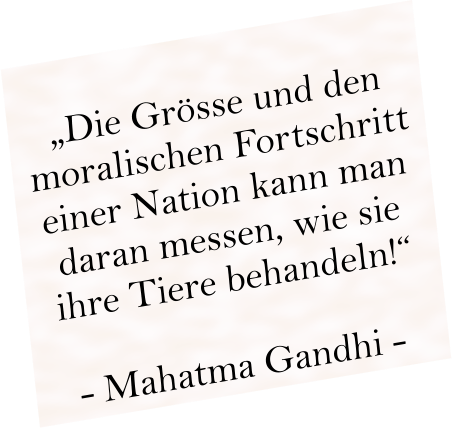 „Die Grösse und den moralischen Fortschritt einer Nation kann man daran messen, wie sie ihre Tiere behandeln!“  - Mahatma Gandhi -