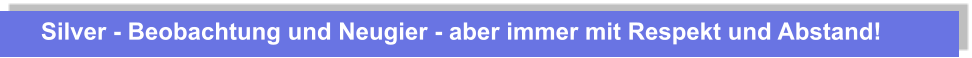 Silver - Beobachtung und Neugier - aber immer mit Respekt und Abstand!