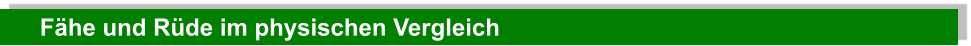 Fähe und Rüde im physischen Vergleich